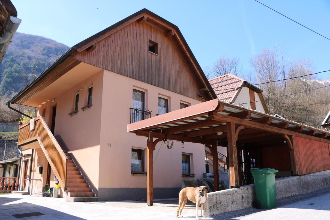 Apartma Na Vasi Apartment Zaga Exterior photo